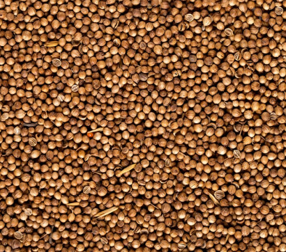 Coriander Seeds