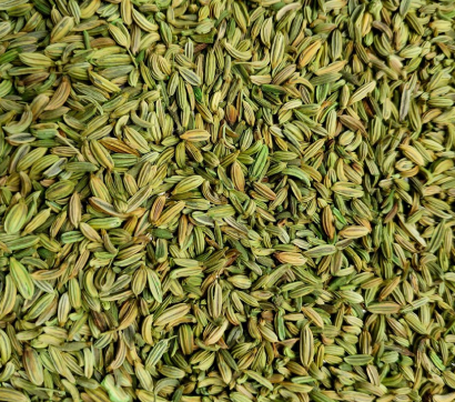 Fennel Seeds